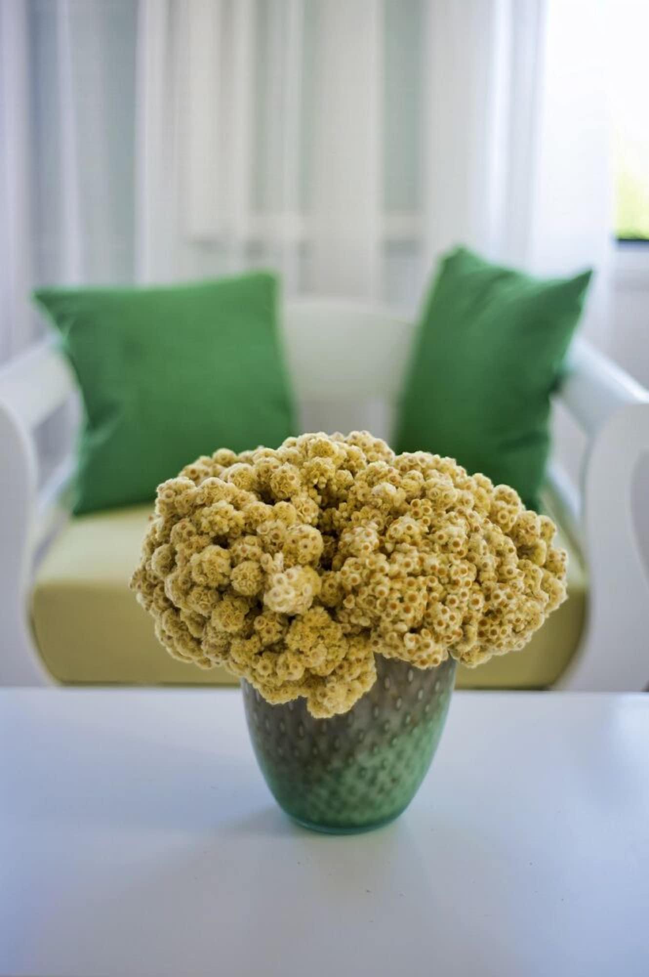فندق Kerkis Bay ماراثوكابوسْ المظهر الخارجي الصورة